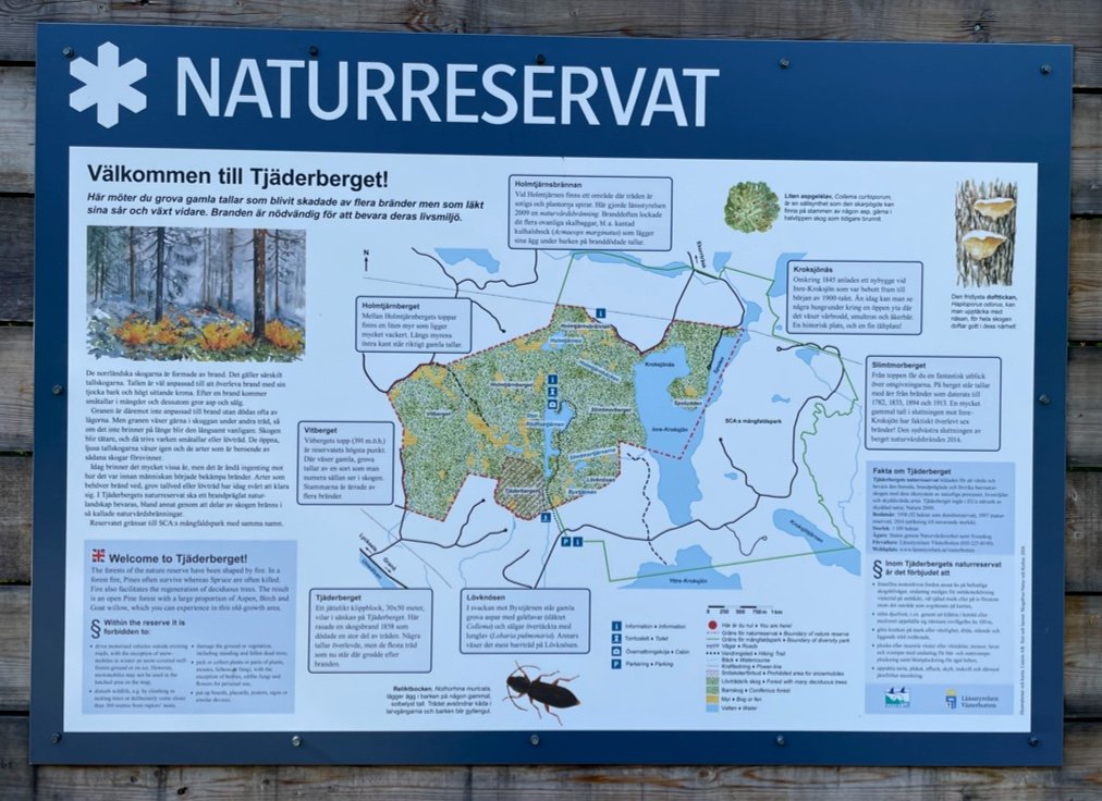 Tjäderberget